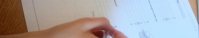 Completion of questionnaire with support